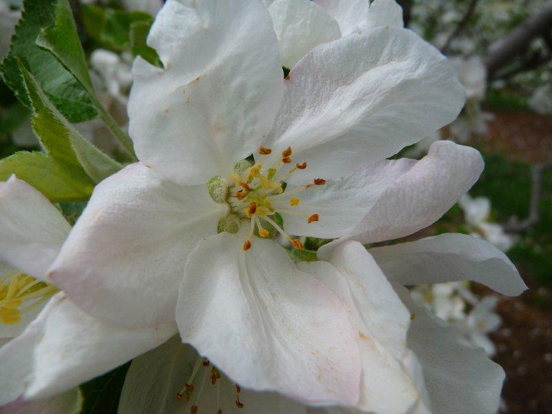 photo7