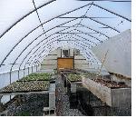 photo14