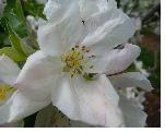 photo7