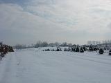 photo1