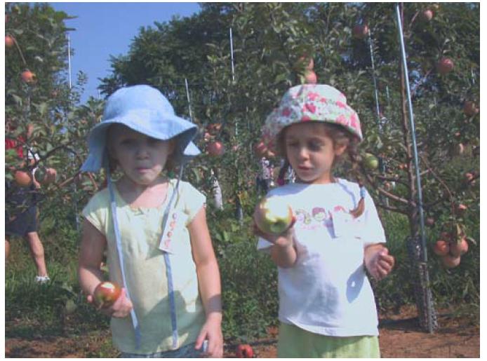 applepick