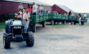 Oh no! The hayride is over already?