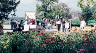 Gathering for the hayride.