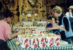 Kathy sorting apples