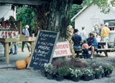 Do you know about our Corn Maze?