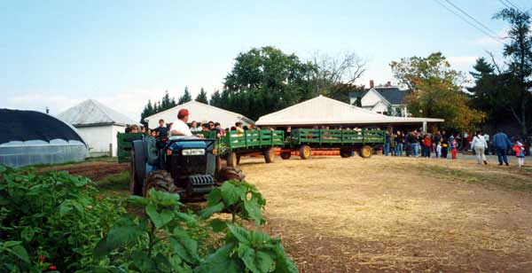 Happy apple pickers and their harvest!