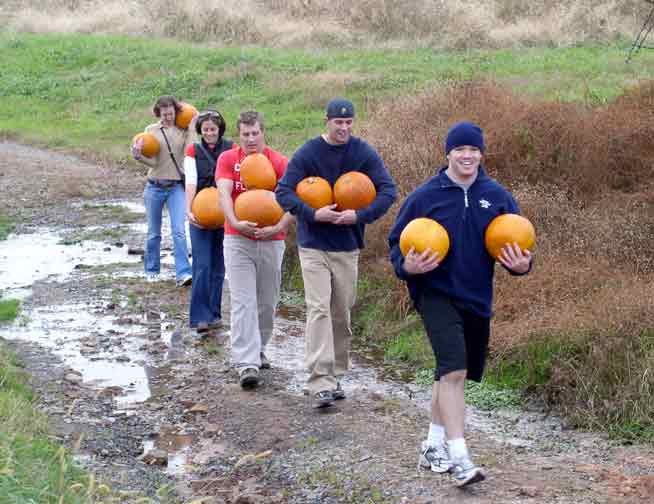 Carrying pumpkins from the fields