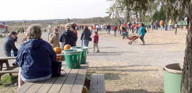 View from the picnic tables