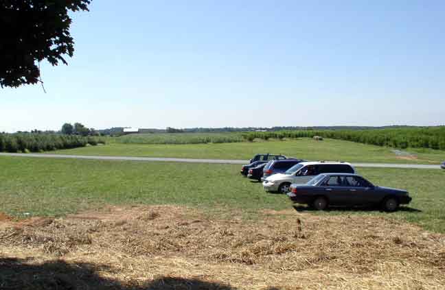 Corn Maze from the stand