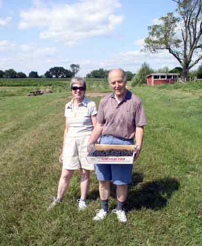 More blackberry pickers