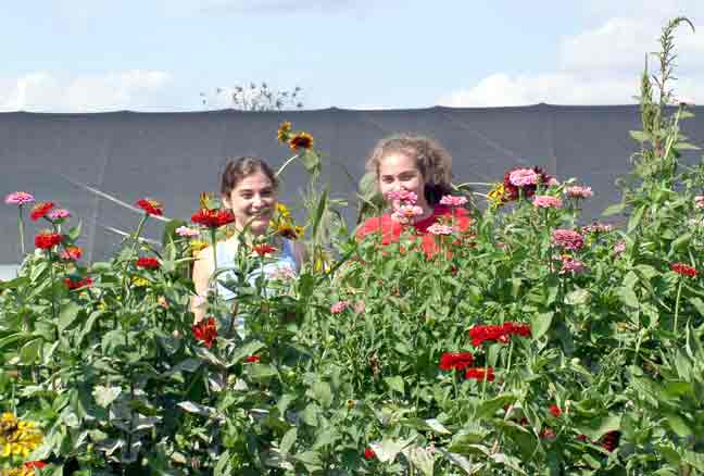 Picking Flowers