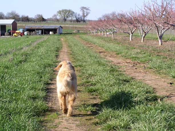 Tess heading home