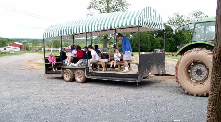 ride the transport to the fields