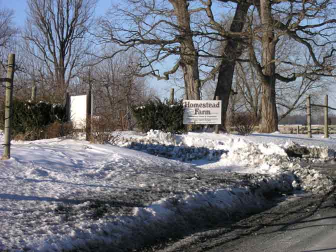 Snow makes the entrance look very different!