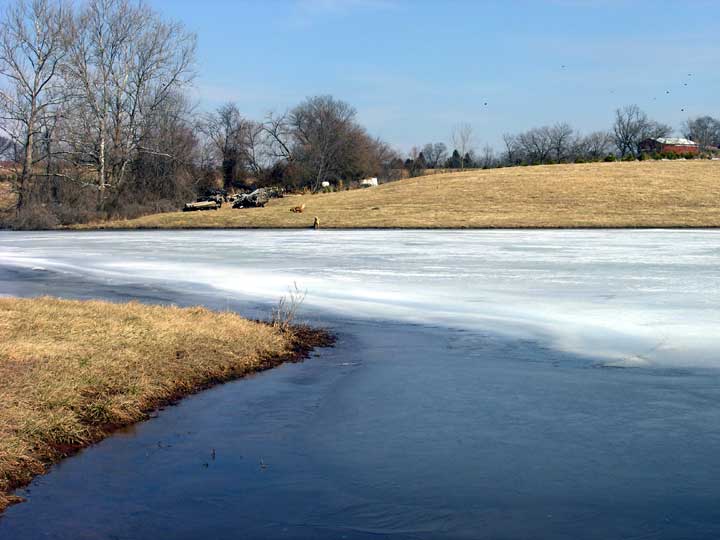 Another Frozen Pond