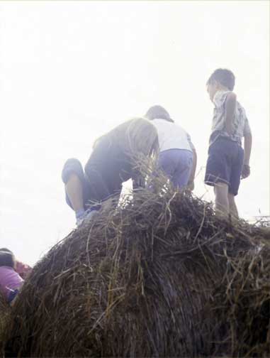 Hay Bale action