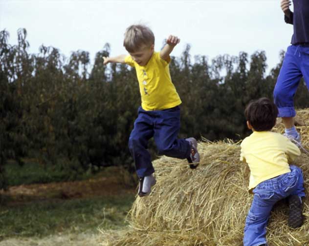 Hay Bale action