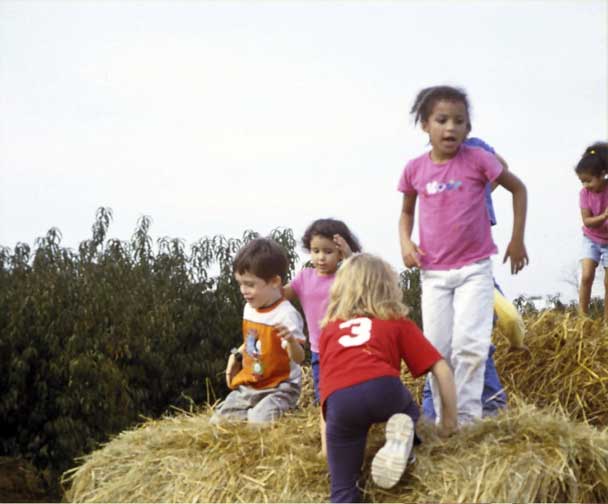 Hay Bale action