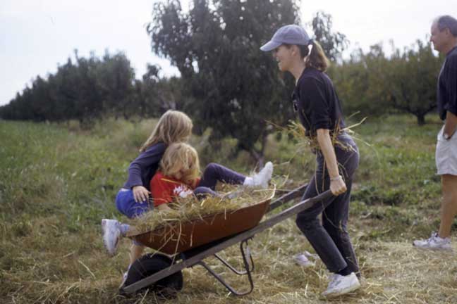 Mom pushing kids in a wheelbarrow