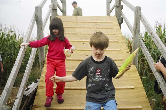 Let's run up and down the bridge a few times!