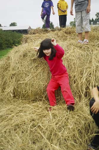 Wheeeee!  The hay bales are fun to play on!!!