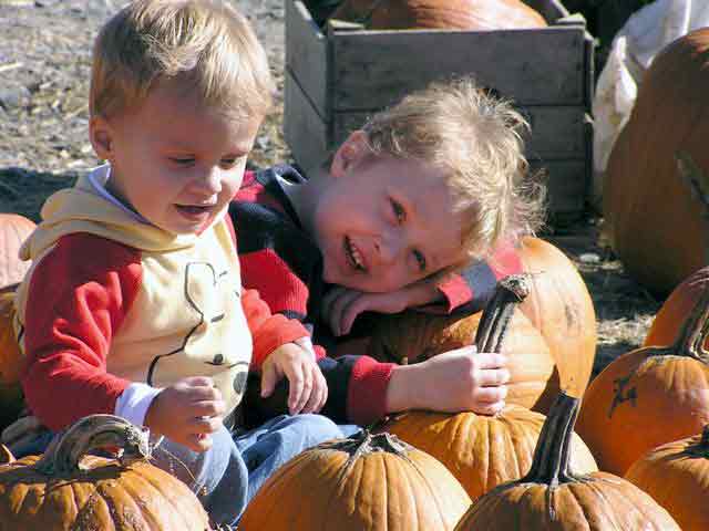 Two little boys with pumpkins