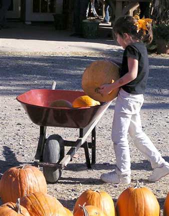 Lifting a pumpkin