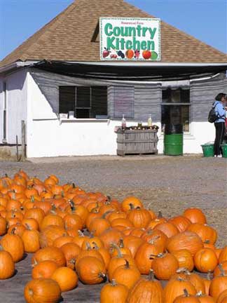 Country kitchen