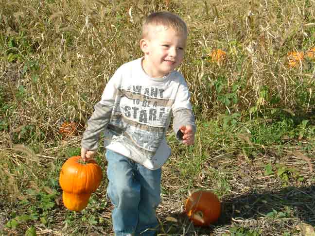 In Pumpkin Field