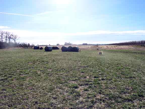 Field with hay bales.