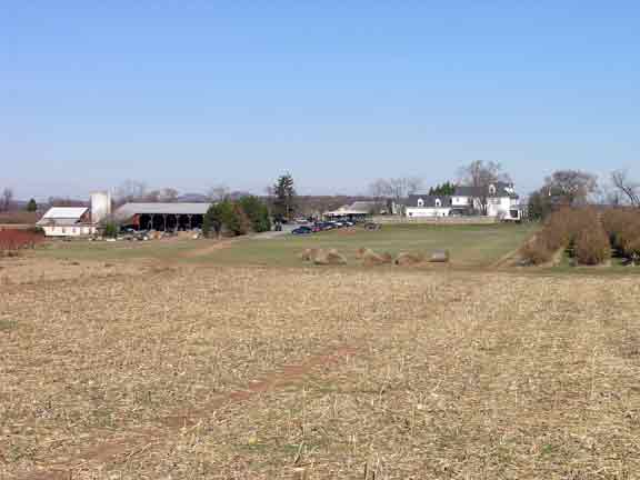 View of the farm