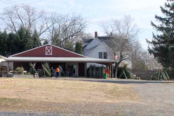 Farm Stand with already cut trees