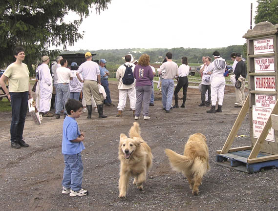 Attendees gather