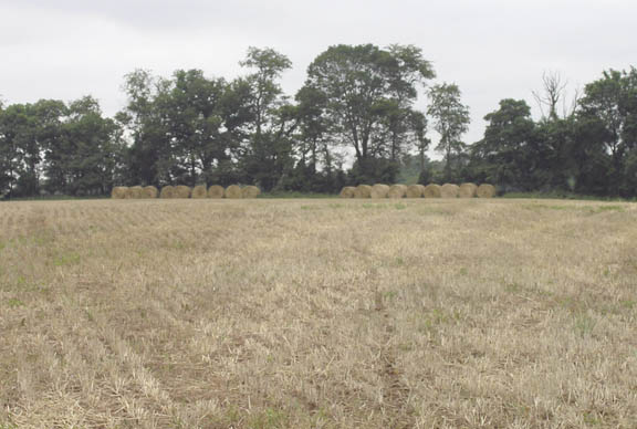 Straw bales