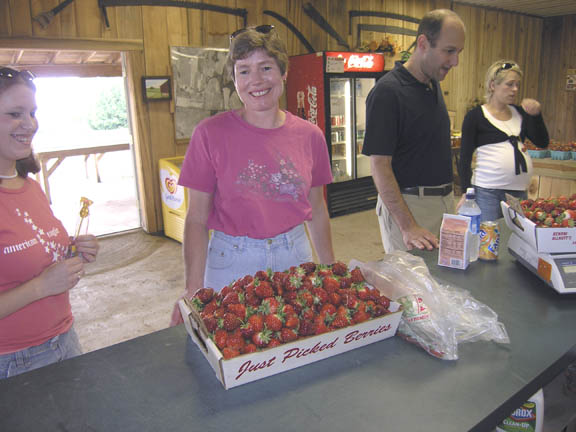 Weighing the strawberries