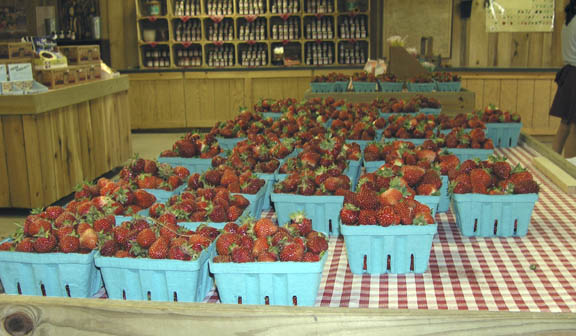 Already picked strawberries