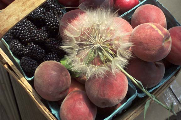 Blackberries, peaches and goatsbeard