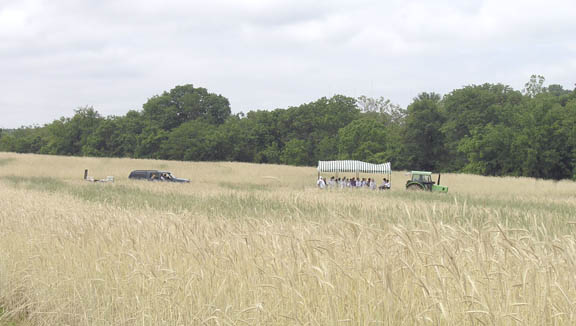 Going to the farm bee hives