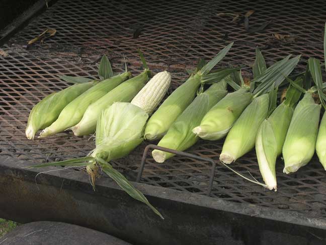 more grilled corn