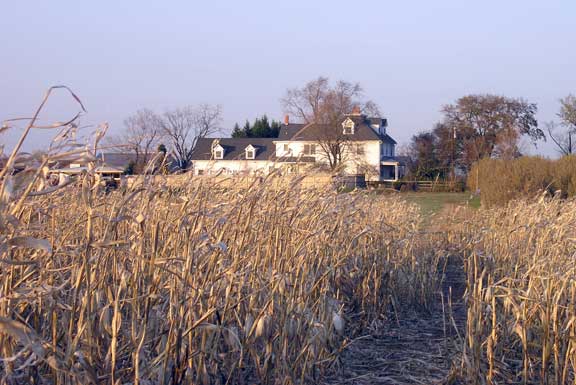 Looking back toward the house from the bridge