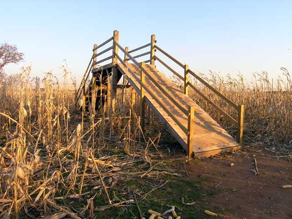 Corn Maze Bridge