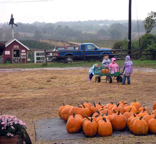 Kids playing