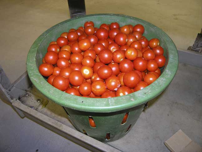 Cherry tomatoes