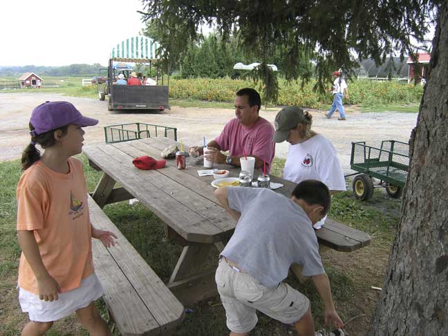 Quick Picnic