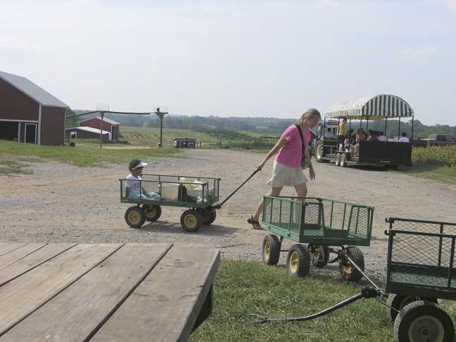 Pulling cart