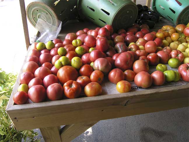 Heirloom Tomatoes