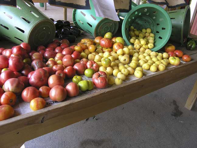 Heirloom Tomatoes