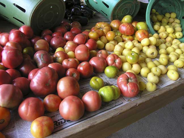 Heirloom Tomatoes