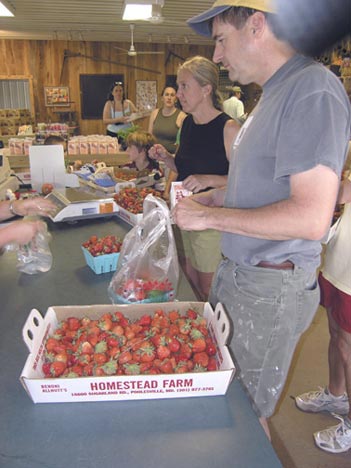 Strawberries at last