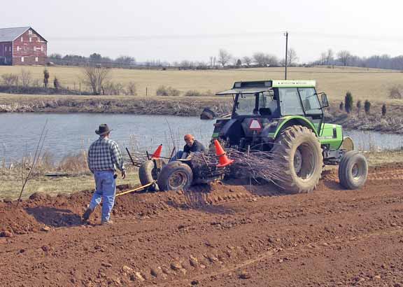 Tractor crew planting trees